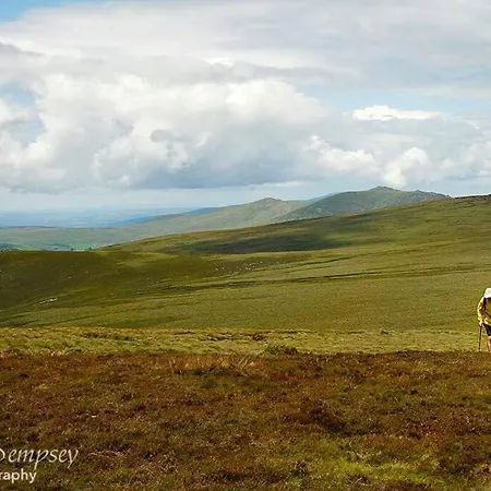 The - On The Waterford Greenway Kilmacthomas