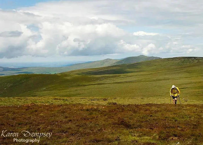 The - On The Waterford Greenway Kilmacthomas